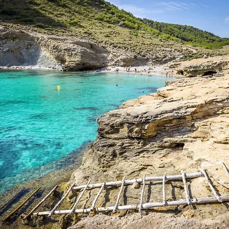 Alfa * Поланко